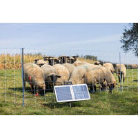 Produktbild von AKO Sun Power S 3000 Solar Weidezaungerät mit 4,2 Joule und 11.000 V für Zäune bis 30 km
