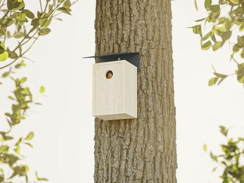 Alberts Schrägschutzdach für Vogelhäuser aus Metall in Schwarz – Bild 1 von 3