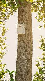 Alberts U-Schutzdach für Vogelhäuser aus Metall in Silber – Bild 1 von 3