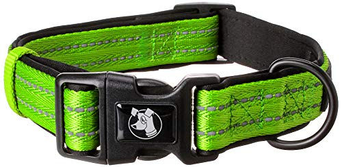 Alcott Adventure Abenteuerhalsband für Hunde aus Nylon mit reflektierenden Akzenten und schwarzem Neoprenpolster Grün Größe L 45-65 cm – Bild 1 von 1