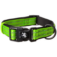 Produktbild von Alcott Adventure Abenteuerhalsband für Hunde aus Nylon mit reflektierenden Akzenten und schwarzem Neoprenpolster Grün Größe L 45-65 cm