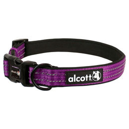 Alcott Adventure Abenteuerhalsband für Hunde lila Größe XL Breite 2,5 cm – Bild 1 von 1