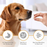 Produktbild von Alfavet Dia Tab PRO Diät-Ergänzungsfuttermittel für Hunde und Katzen mit Prä- und Probiotika zur Unterstützung der Verdauung 100 g - 100 g
