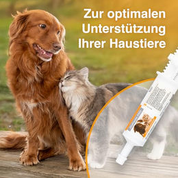 Alfavet DiaPaste PRO 60 ml Verdauungshilfe mit Prä- und Probiotika für Hunde und Katzen - 60 ml – Bild 1 von 5