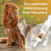 Produktbild von Alfavet DiaPaste PRO 60 ml Verdauungshilfe mit Prä- und Probiotika für Hunde und Katzen - 60 ml