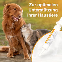 Produktbild von Alfavet DiarPositiv PRO 30 ml Diät-Ergänzungsfuttermittel für Hunde und Katzen zur Unterstützung der Darmflora mit Pro- und Präbiotika sowie Butyrat und Propionat ohne Zuckerzusatz - 30 ml
