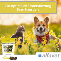 Produktbild von Alfavet FeliGum Hepato Funktionssnack zur Unterstützung der Leberfunktion für Katzen und kleine Hunde 120g - 120 g