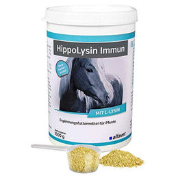 Produktbild von Alfavet HippoLysin Immun Ergänzungsfuttermittel für Pferde und Ponys zur Immunstärkung und Verdauung 1000g - 1000 g