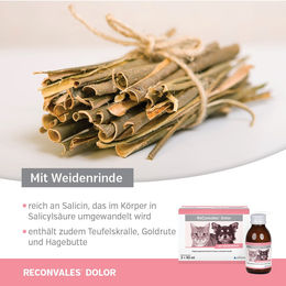 Alfavet ReConvales Dolor Tonicum Ergänzungsfuttermittel für Hunde und Katzen zur Unterstützung der Gelenke und Mobilität 3 x 90ml - 3 x 90 ml – Bild 1 von 7