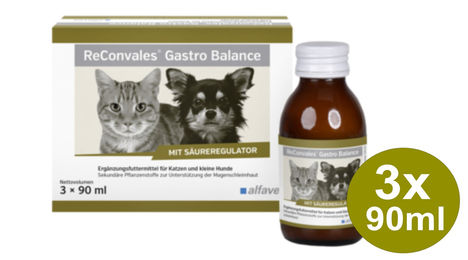 Alfavet ReConvales Gastro Balance Ergänzungsfuttermittel für Hund und Katze zur Unterstützung der Magenschleimhaut 3 x 90 ml - 3 x 90 ml – Bild 1 von 11