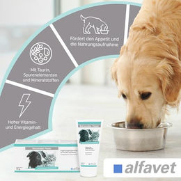 Alfavet ReConvales Power Aufbaufutter Paste für Hunde und Katzen zur Rekonvaleszenz 70 g - 70 g – Bild 1 von 4