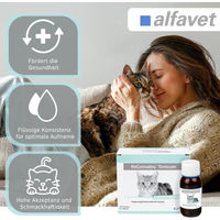 Produktbild von Alfavet ReConvales Tonicum Aufbaufutter für Katzen zur Rekonvaleszenz 6 x 45ml