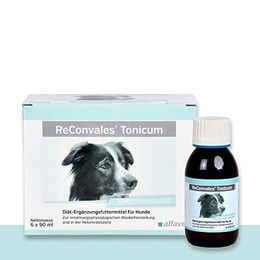 Alfavet ReConvales Tonicum Hund Aufbaufutter zur Rekonvaleszenz 6 x 90 ml - 6 x 90 ml – Bild 1 von 13