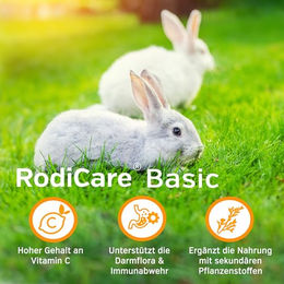 Alfavet RodiCare Basic Kräuterpellets veganes Ergänzungsfutter für Kaninchen und Meerschweinchen 1000g Dose - 1 kg – Bild 1 von 6