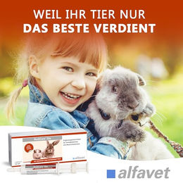 Alfavet RodiCare Dia Vitaminsupplement für Kaninchen und Meerschweinchen bei Durchfall mit Natriumbutyrat 3x12 ml - 3 x 12 ml – Bild 1 von 6