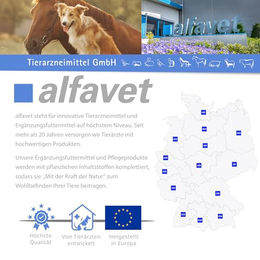 Alfavet RodiCare Hairball Vitaminsupplement für Kaninchen und Meerschweinchen zur Förderung der Ausscheidung von Haarballen 36 ml - 3 x 12 ml – Bild 1 von 3