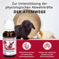 Produktbild von Alfavet RodiCare Pulmo Vitaminpräparat zur Unterstützung der Atemwege für Kaninchen und Kleinnager 20 ml - 20 ml