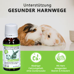 Alfavet RodiCare URO Vitaminsupplement zur Harnwegssupport für Kaninchen und Meerschweinchen 20 ml - 20 ml – Bild 1 von 6