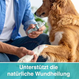 alfavet VulnoCyn Hydrogel 75 ml Wundspray für Hunde und Katzen - 75 ml – Bild 1 von 9