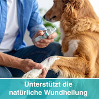 Produktbild von alfavet VulnoCyn Hydrogel 75 ml Wundspray für Hunde und Katzen - 75 ml