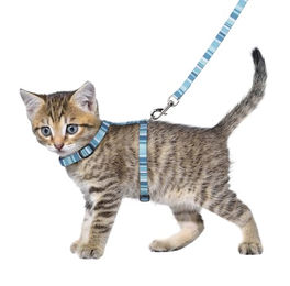 Alfry Flamingo Kätzchen Geschirr mit Leine verstellbar – Bild 1 von 6