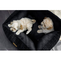 Produktbild von Alinco Market Elite Athena Autositz für Hunde und Katzen mit Memory Foam und wasserdichter Oberfläche Schwarz