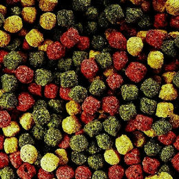 ALKOTE Multi-Mix Mehrkomponenten-Teichfutter für Fische 3 mm 1 kg - 1 kg – Bild 1 von 3