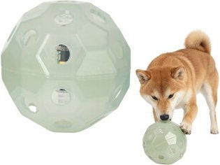 All For Paws AFP Hundespielzeug Leucht-Fußball – Bild 1 von 1