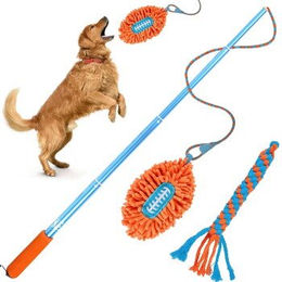All For Paws Hunde Flirt Pole Teleskopstab mit Football Seil – Bild 1 von 1