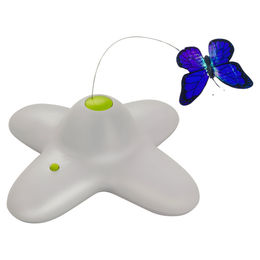 All For Paws Interaktives Katzenspielzeug Flutter Bug Elektrisch aus Kunststoff – Bild 1 von 8