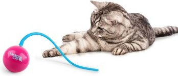 All For Paws Katzenspielzeug Whirling Tail Ball aus Kunststoff in Blau – Bild 1 von 3