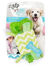 ALL FOR PAWS Little Buddy Kauspielzeug für Welpen Grün aus Kunststoff – Bild 1 von 3