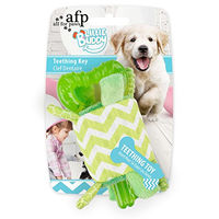 Produktbild von ALL FOR PAWS Little Buddy Kauspielzeug für Welpen Grün aus Kunststoff