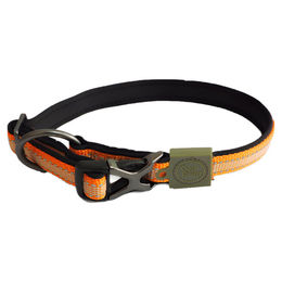 All For Paws Off Street Hundehalsband Neopren Orange Größe L – Bild 1 von 3