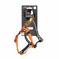 Produktbild von All For Paws Off Street Hundesportgeschirr Non-Pull Orange XL