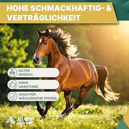 ALL-WIN Horse Mucosal Care Müsli für Senior Pferde 15 kg zur Unterstützung von Magen-Darm, Haut & Fell sowie Muskelaufbau – Bild 1 von 3