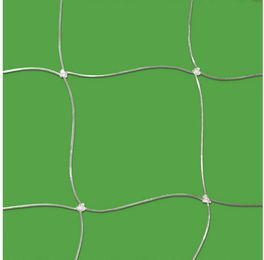 ALLEGRA Katzenschutznetz aus Kunststoff 6 x 3m transparent/weiß – Bild 1 von 2