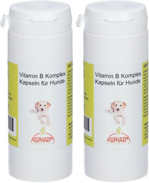 ALLPHARM Vitamin B Komplex Kapseln zur Unterstützung von Haut und Fell für alle Altersstufen 45 Stück – Bild 1 von 1