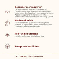 Produktbild von Almo Nature HFC Our Best Katzen Trockenfutter Adult Lachs 1,2 kg