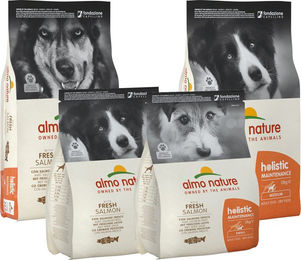 Almo Nature Holistic Maintenance Trockenfutter für erwachsene Hunde mit Lachs 12 kg - 12 kg – Bild 1 von 9