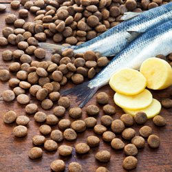 Produktbild von Almo Nature Hundefutter Hering und Geflügel getreidefrei und glutenfrei 3 kg - 3 kg