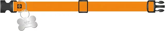 Alpha Industries Basic Hundehalsband aus Kunststoff in Orange Größe M – Bild 1 von 3