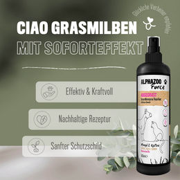 Alphazoo Abgegrast Grasmilben Spray für Hunde und Katzen 500 ml – Bild 1 von 3