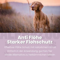 Produktbild von alphazoo ByeByeVloh Spot-On Flohmittel für Hunde 100ml