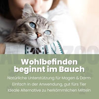 Produktbild von alphazoo Darmonie Liquid für Katzen zur Unterstützung von Magen und Darm 100ml