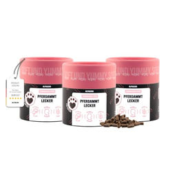 alphazoo Pferd Leckerli Hypoallergen und Sensibel 3 x 65g – Bild 1 von 3