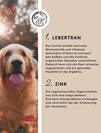Alphazoo Pfotenpflege Creme 50g - 50 g – Bild 1 von 3