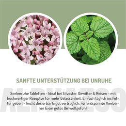 alphazoo Seelenruhe Anti-Stress Tabletten für Hunde mit Baldrian Melisse Hopfen Hanföl und Taigawurzel 75g – Bild 1 von 5
