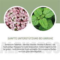 Produktbild von alphazoo Seelenruhe Anti-Stress Tabletten für Hunde mit Baldrian Melisse Hopfen Hanföl und Taigawurzel 75g