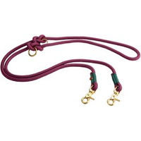 Produktbild von alsa-brand Führleine Mats aubergine-tannengrün 2 m - 2 m